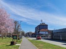 IMG Cbf3a8d52d6e89fb2fbe50b2e612398f V